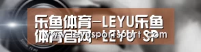 公司动态