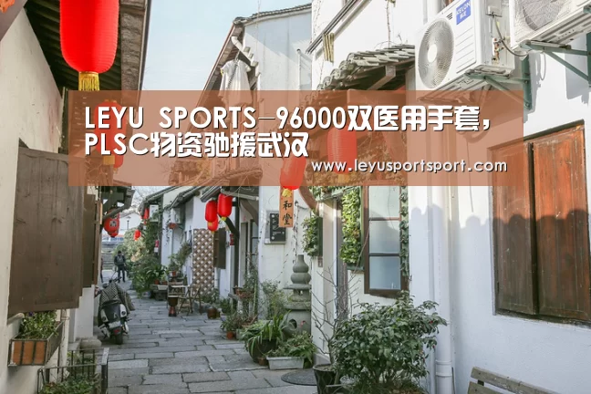 LEYU SPORTS-96000双医用手套,PLSC物资驰援武汉(图3) 乐鱼体育