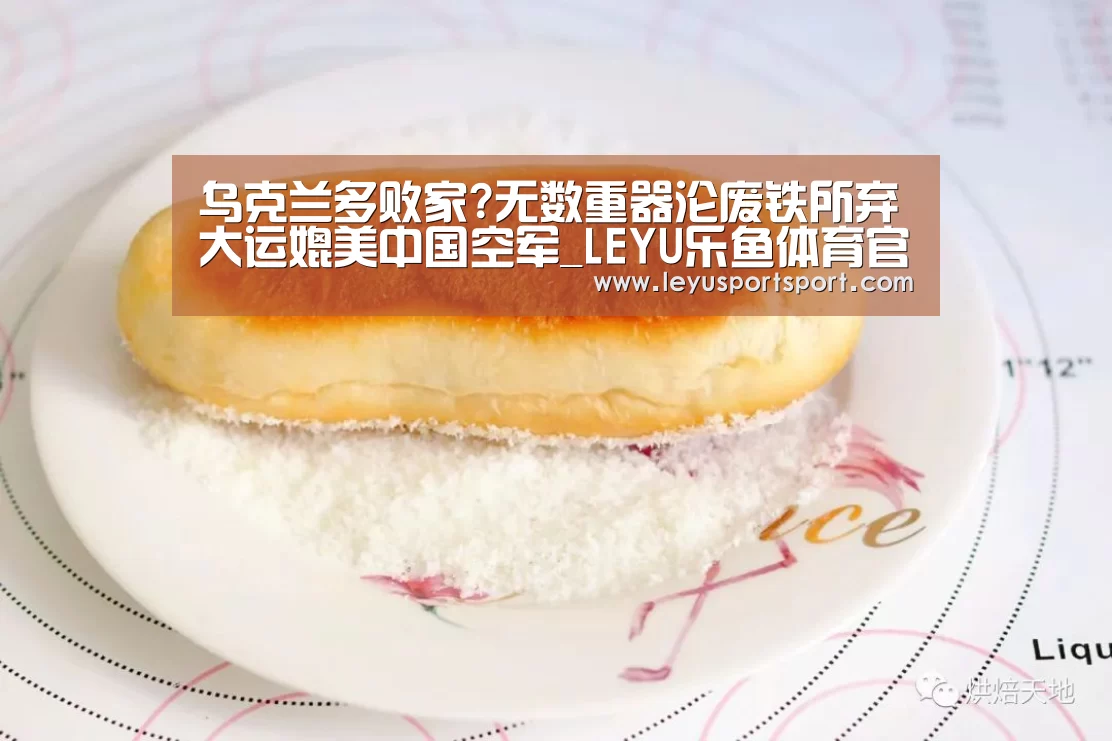 乌克兰多败家?无数重器沦废铁所弃大运媲美中国空军_LEYU乐鱼体育官方网站(图2) 乐鱼体育
