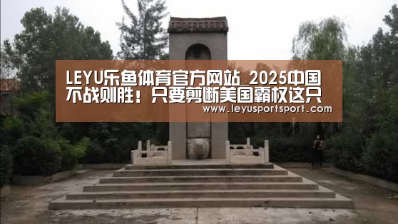 LEYU乐鱼体育官方网站_2025中国不战则胜!只要剪断美国霸权这只手(图2) 乐鱼体育