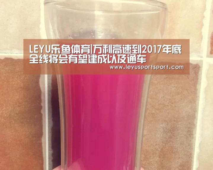 LEYU乐鱼体育|万利高速到2017年底全线将会有望建成以及通车(图3) LEYU乐鱼体育