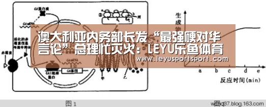 LEYU乐鱼体育官方网站