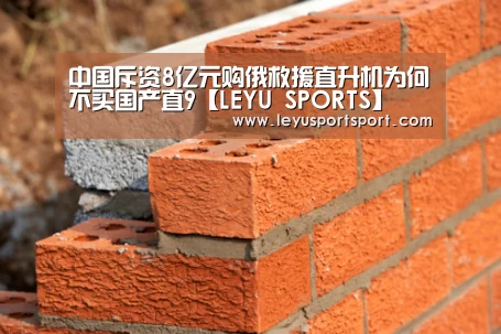 中国斥资8亿元购俄救援直升机为何不买国产直9【LEYU SPORTS】(图1) 乐鱼体育