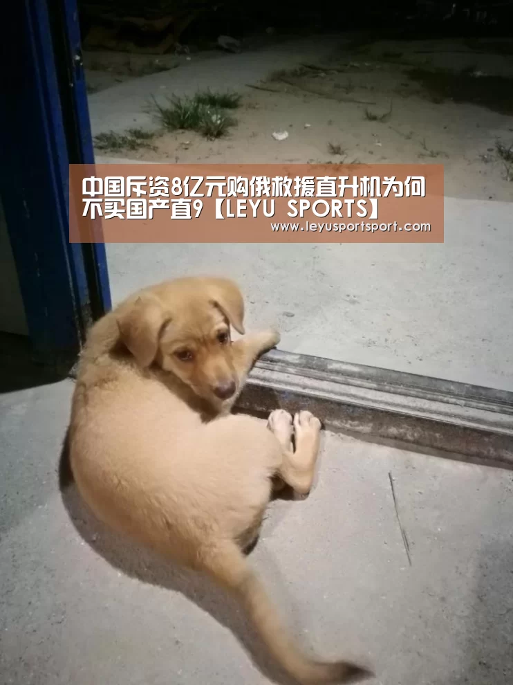 中国斥资8亿元购俄救援直升机为何不买国产直9【LEYU SPORTS】(图3) 乐鱼体育