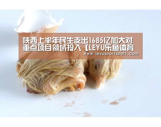 陕西上半年民生支出1685亿加大对重点项目领域投入【LEYU乐鱼体育官方网站】(图3) LEYU乐鱼体育