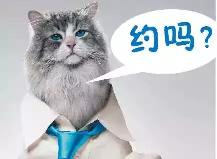 乐鱼体育