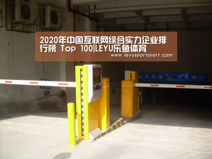 2020年中国互联网综合实力企业排行榜 Top 100|LEYU乐鱼体育(图1) 乐鱼体育