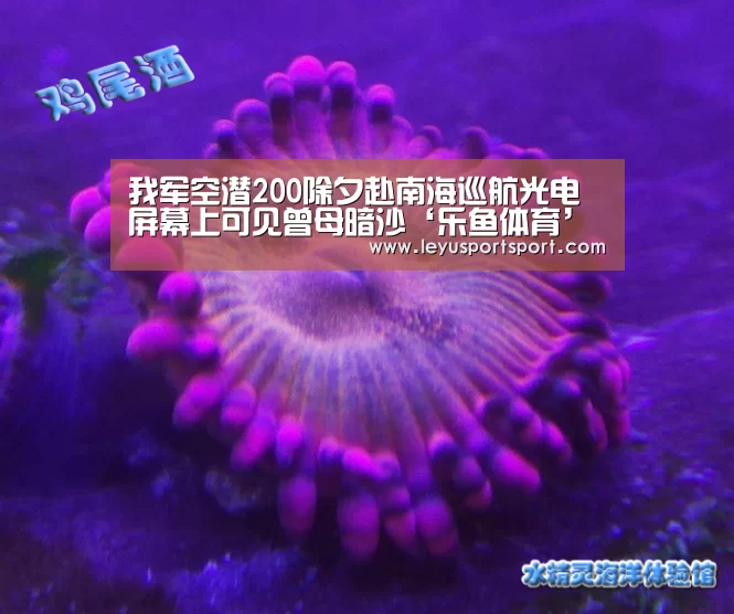 我军空潜200除夕赴南海巡航光电屏幕上可见曾母暗沙‘乐鱼体育’(图2) LEYU乐鱼体育